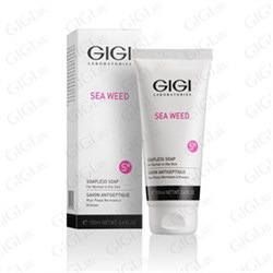SW Жидкое мыло для очищения жирной и комбинированной кожи / GIGI Sea Weed Soapless Soap, 100мл 31013 - фото 12351
