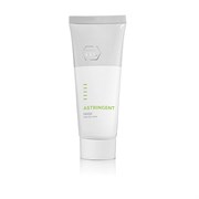 Astringent Mask Очищающая сокращающая поры маска с охлаждающим эффектом, 70 мл 161085